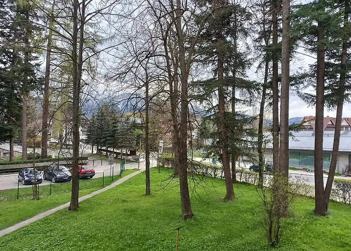 Apartament Bukowy